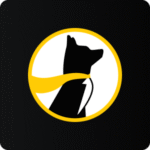 Promo Logo