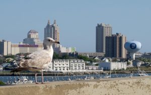 The north end of the Atlantic City, NJ, skyline is shown from the top level of the Harrah's parking garage Friday, May 14, 2021. Harrah S Atlantic City