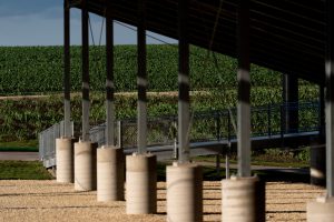A field of growing corn is pictured beyond the supports for a section of seats at the Field of Dreams Ballpark June 17, 2026 in Dyersville, Iowa.