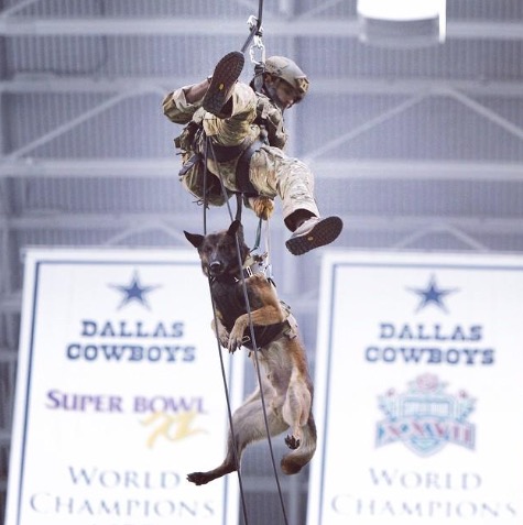 pic via the NFL