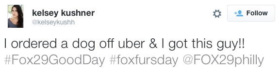 FOX 29 ordered one up
