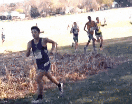 I Can’t Stop Watching this Local Cross Country Runner Get Speared by a Deer