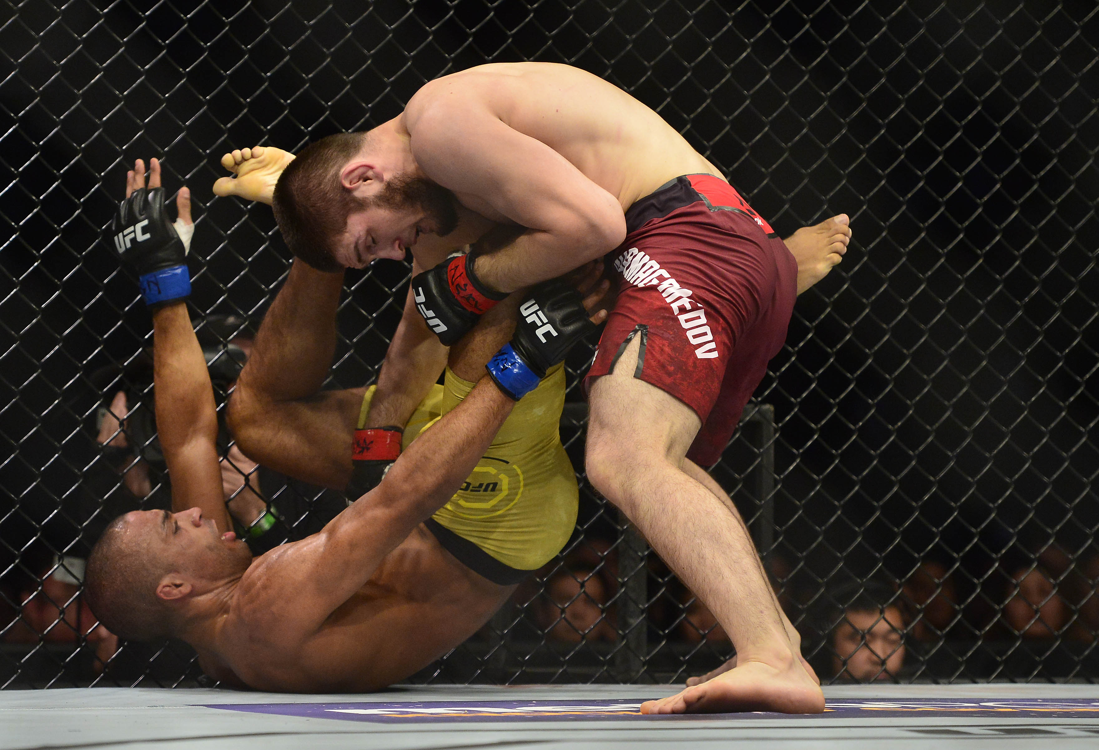 UFC 223: Conor McGregor and the Cursed Card