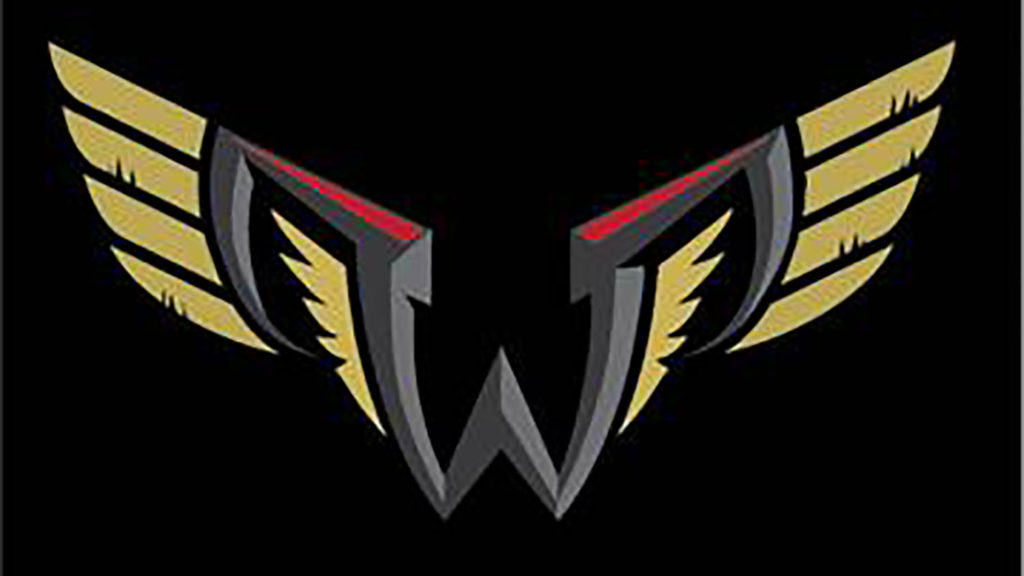 Your Philadelphia Wings Schedule (With Minimal Flyers Interference