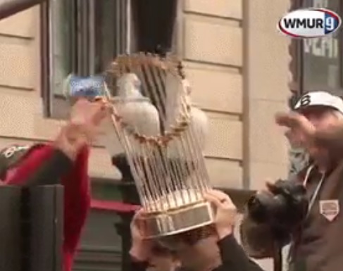 Red Sox Fans Can’t Aim, Hit Their Manager and World Series Trophy With Beers
