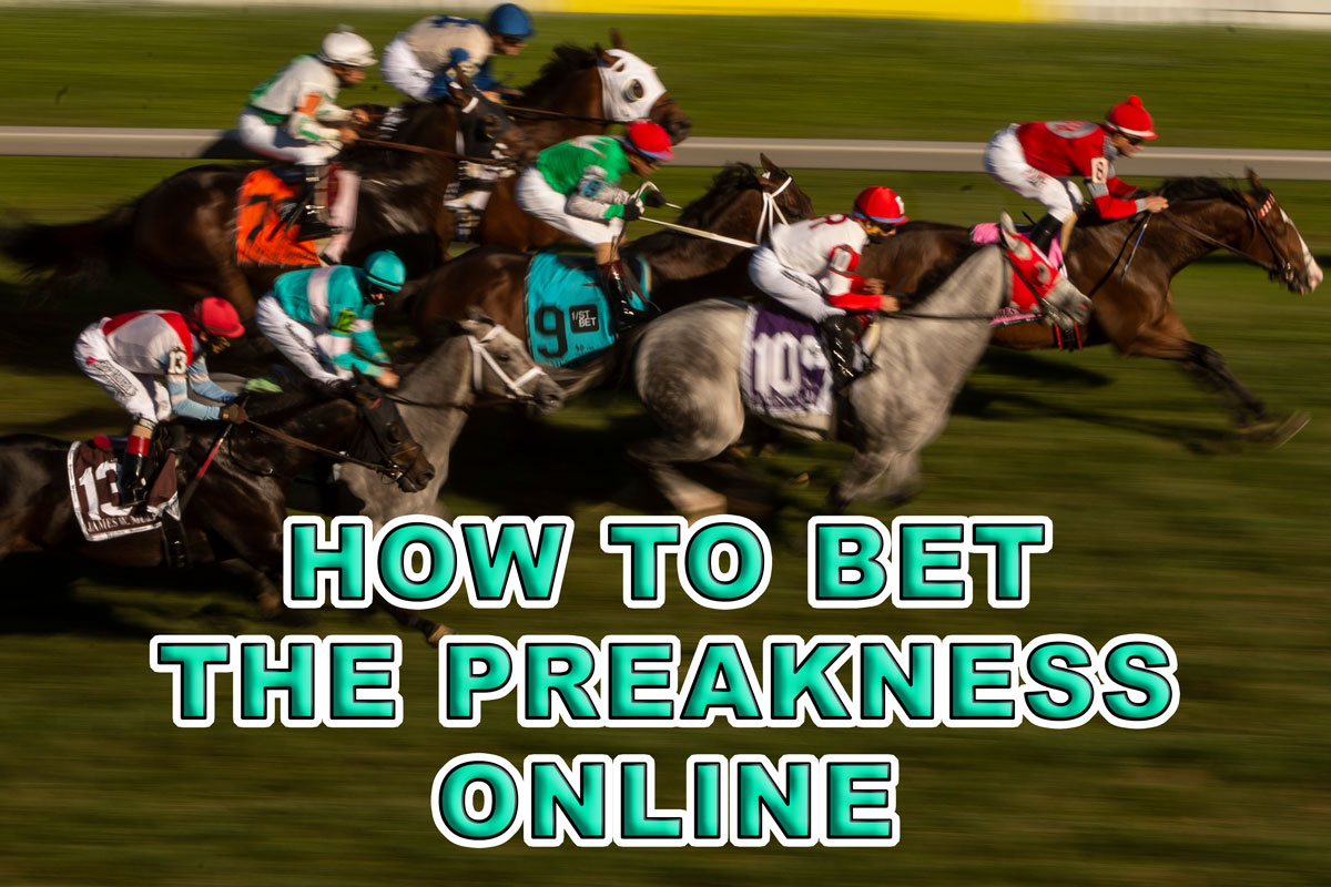 how to bet on the preakness stakes online