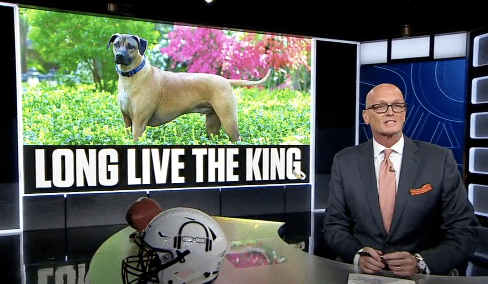 Scott Van Pelt Gave a Spectacular Eulogy About His Dog, Get The Tissues Ready