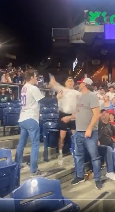 Gloating Mets Fan Has His Phone Swiped and Thrown onto the Field