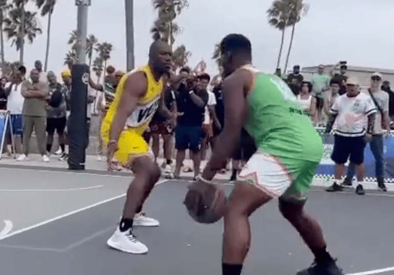 T.O. Clowned in Venice Summer League With an Off the Heezy Move