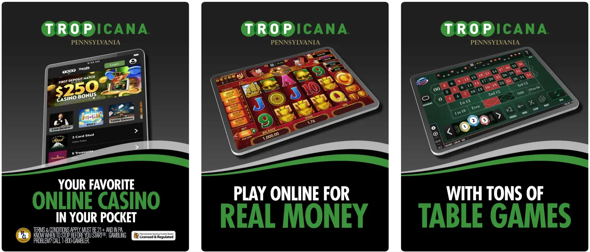 What Everyone Ought To Know About casino
